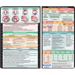 OB Ultrasonography Adhesive Reference Label